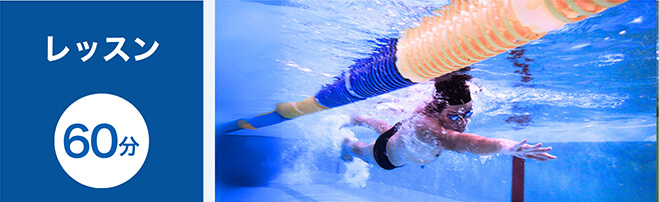 成人コース・日曜マスターズコース|川崎(宮前平・鷺沼・宮崎台)、横浜(都筑区・北山田・青葉区)エリアの水泳スイミングクラブ